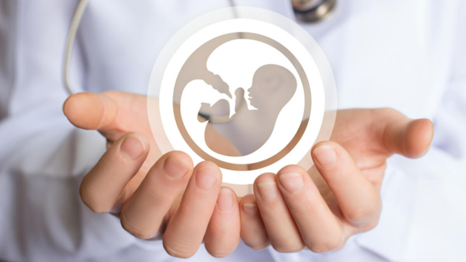 Aborto