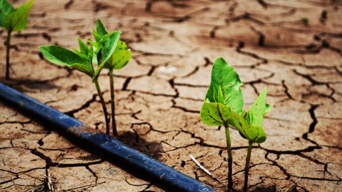 Cambio Climático