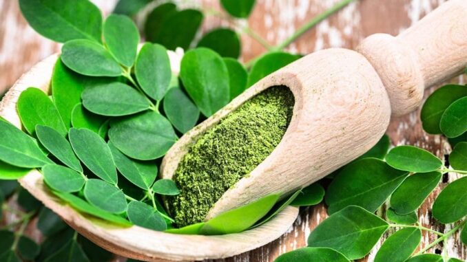 Moringa