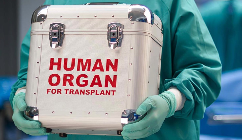 Ucrania: Lidera mercado negro de órganos humanos | CMKX Radio Bayamo