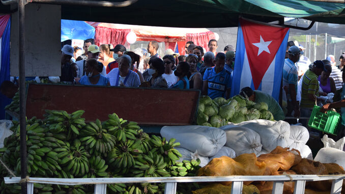 Feria x fin de año