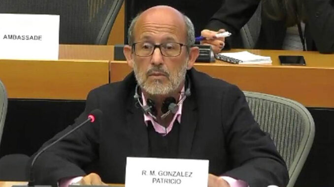 diputado