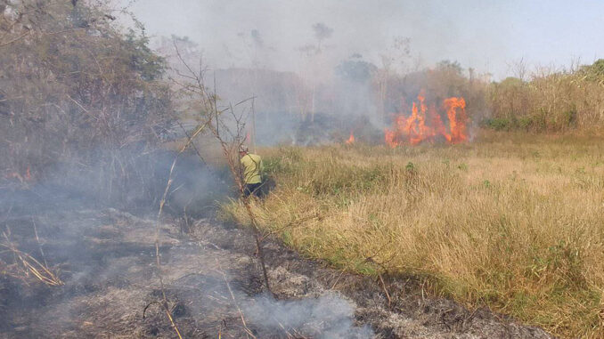 Incendio Masó