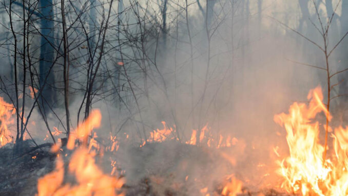 Incendios Forestales