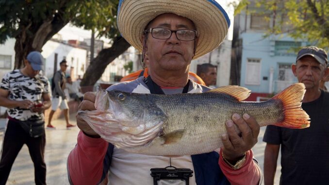 Pesca Trucha