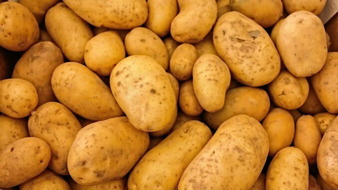 Papas