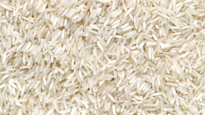 Arroz