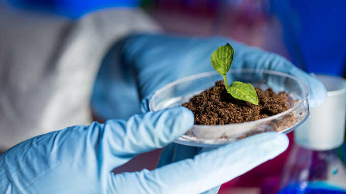 Biotecnología