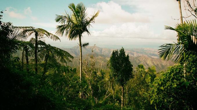 Naturaleza Bartolomé Masó