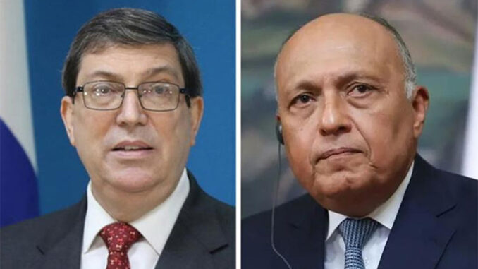 Sameh-Shoukry-y-Bruno-Rodriguez