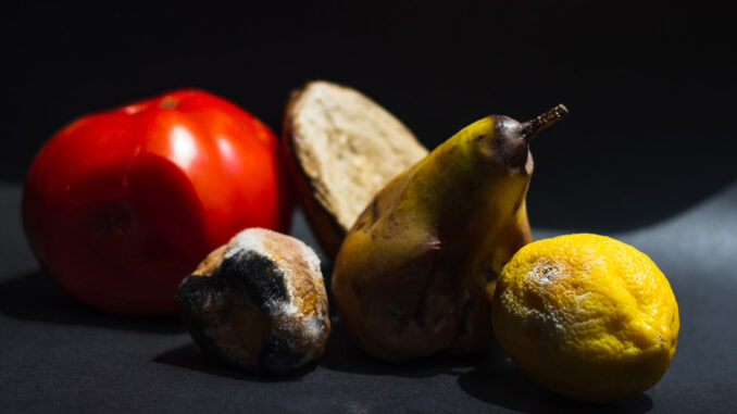 FAO-Desperdicio de alimento