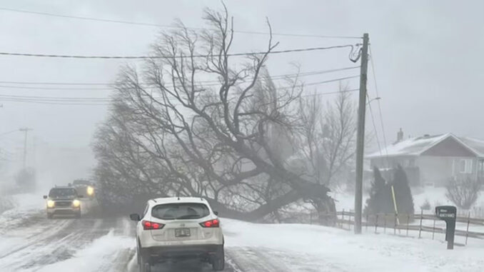 nevadas-canada