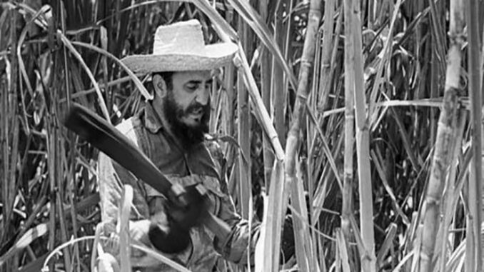 Fidel-zafra