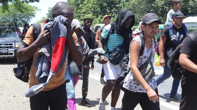 Migrantes