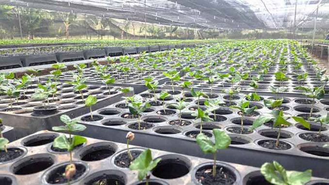 Cuba-agricultura-ciencia