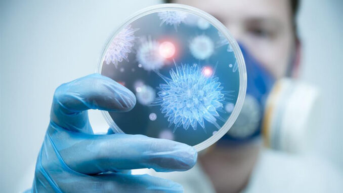 virus-ciencia