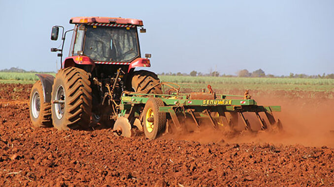Agricultura-siembra