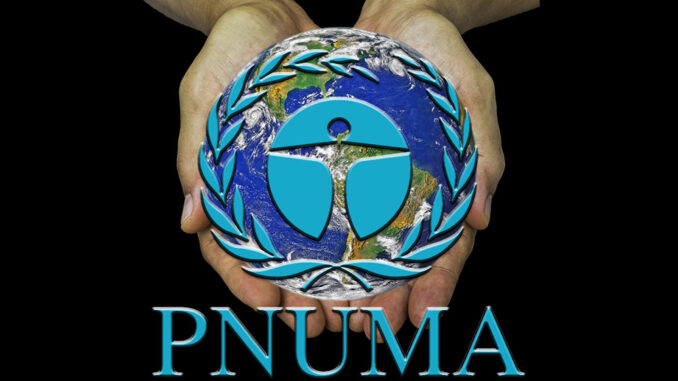 PNUMA