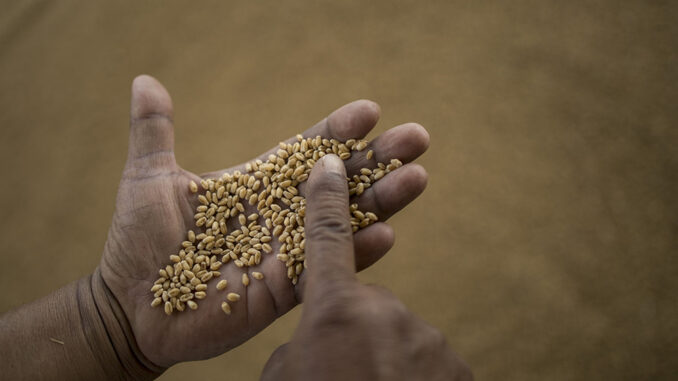 Pay Debt or Feed People Is Hungry Nations’ Impossible Choice