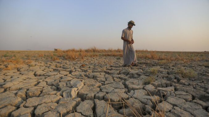 CambioClimático