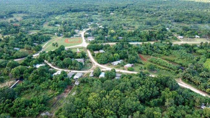 Forestal Cuba