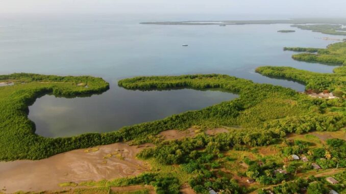 Medio Ambiente Cuba