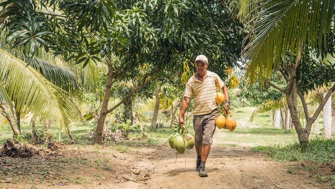 Agricultura