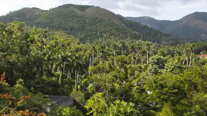 Ecoturismo