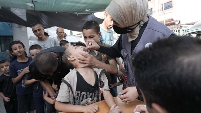 Gaza
