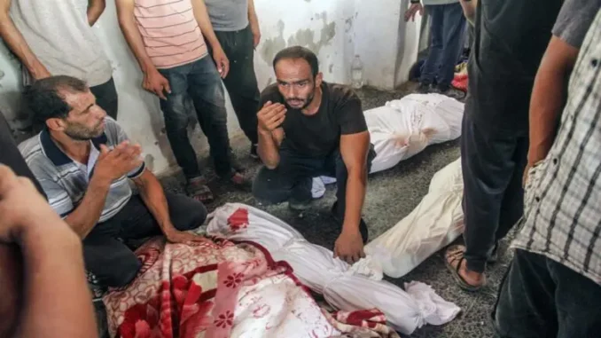 Gaza