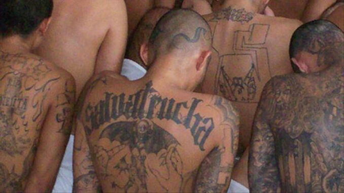 pandillas-salvador