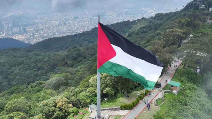 Resistencia-palestina-