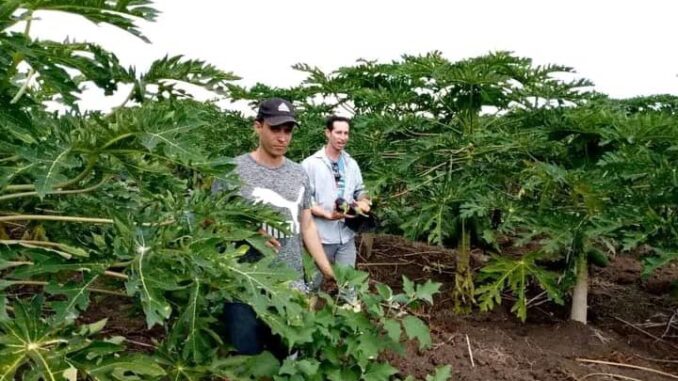 Agricultura