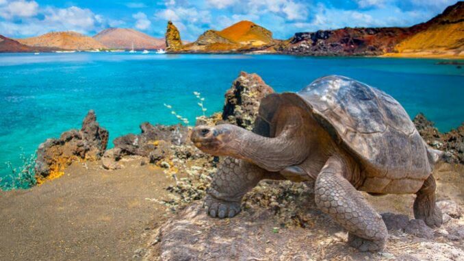 Islas Galapagos _