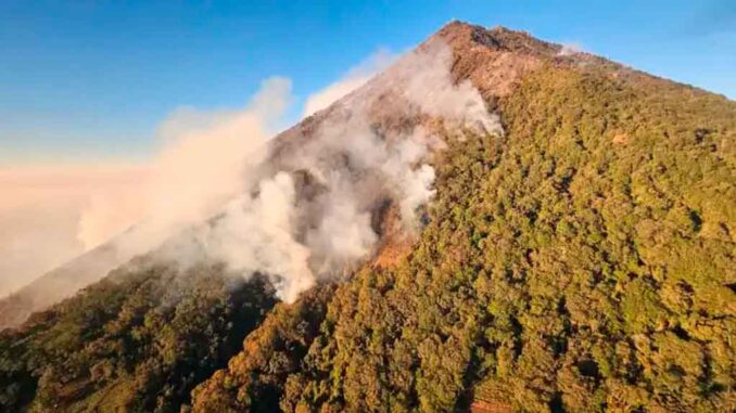 ecosistema-del-volcan-de-Agua-1
