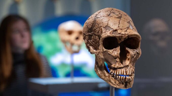 genes de los neandertales