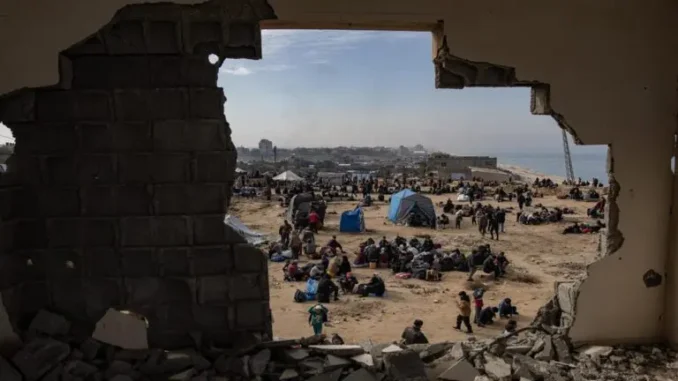 Palestina