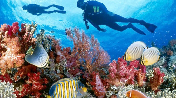 Enjoy Travel Group