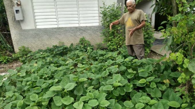 Agricultura familiar