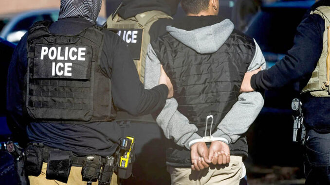 Deportaciones -EEUU webp