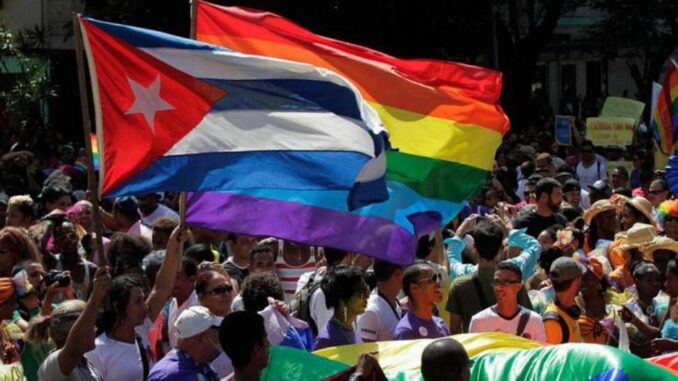 Lucha contra la homofobia Día Internacional contra la Homofobia