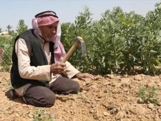 Siria