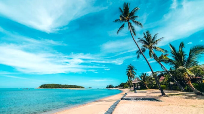 Mar Atlántico y el Caribe Medio Ambiente