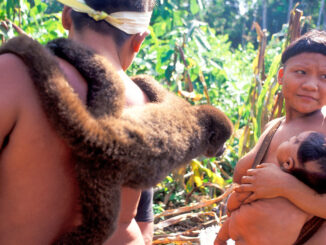 Amazonas