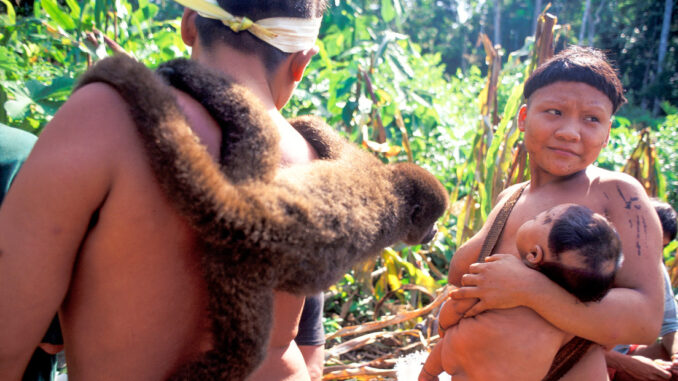 Amazonas Amazonas
