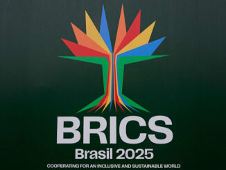 Brics Brasil
