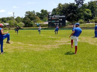 Buey Arriba béisbol