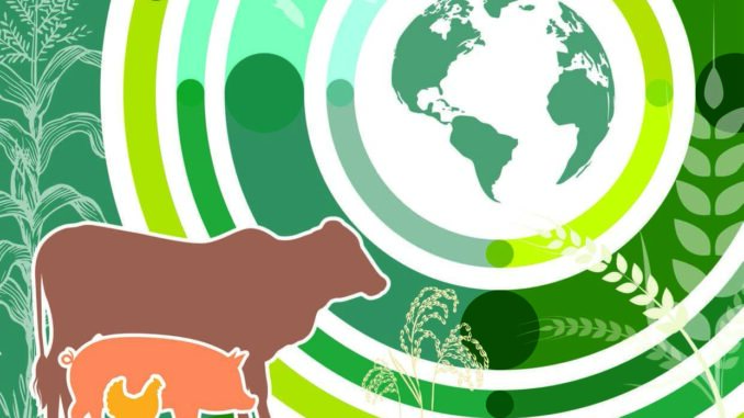 OECD-FAO Agricultural outlook 2025-2034 FAO