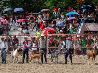 Feria Ganadera Granma