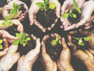 Gestión Ambiental